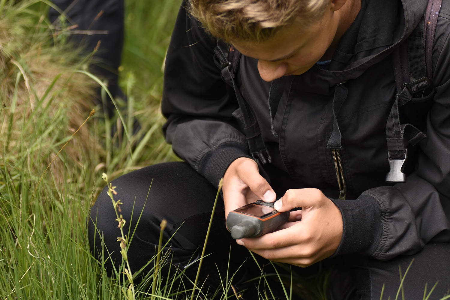 Junior Ranger kursusest osavõtja sisestab käpalise koordinaate. Foto: Maris Sepp