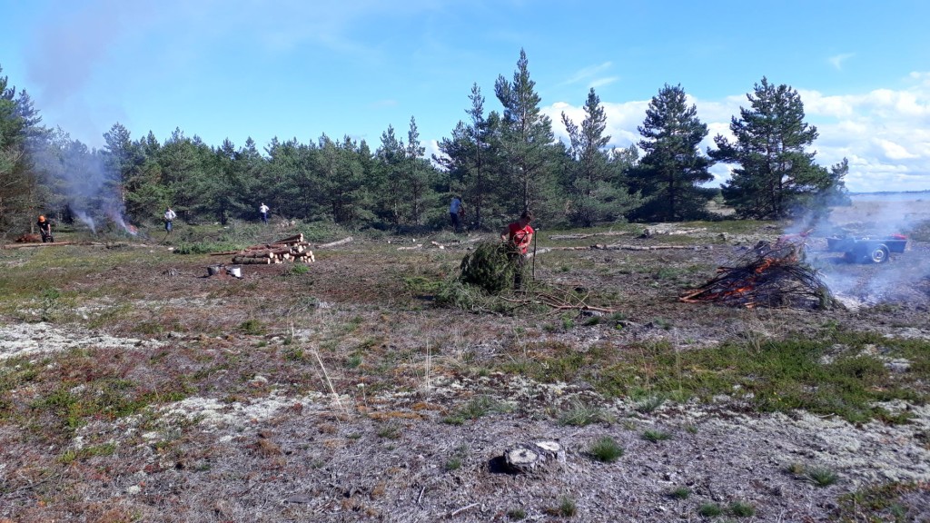 Talgud Rammu saarel Foto_ Riina Martverk.jpg