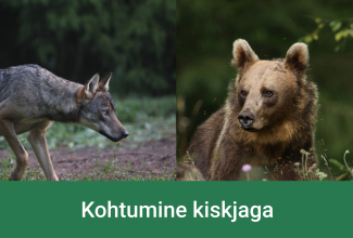 hunt ja karu